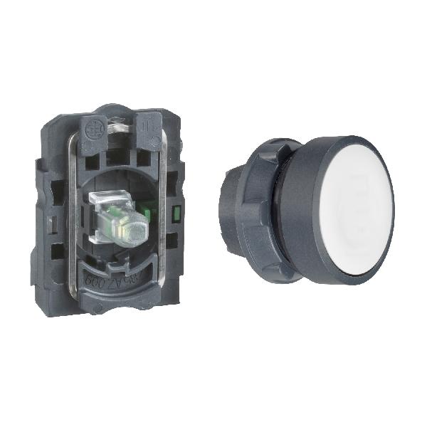 illuminated push button LED 230V AC