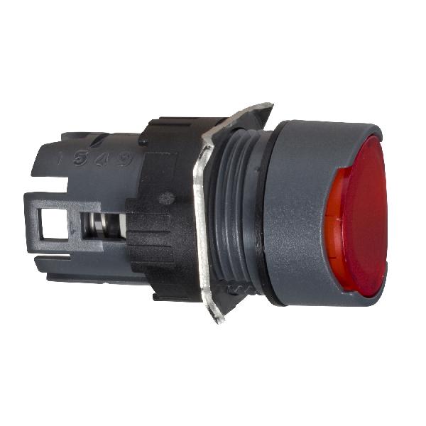 illuminated pushbutton head ZB6AF4 sold by 100