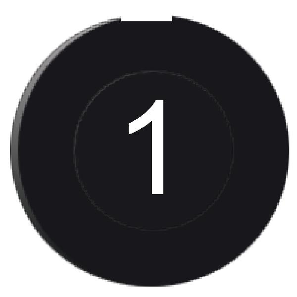 cabochon lisse 1 - noir pour poussoir rond Ø 16