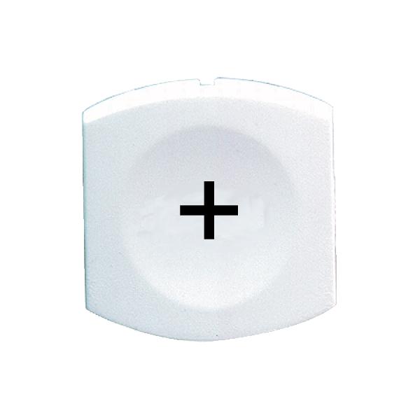 CAPSULE LISSE PLUS BLANC